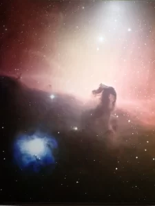 Photo of a Photo of Horse Head Nebula at Siding Spring Observatory
