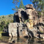 Max the guard dog on duty at the swimming hole.